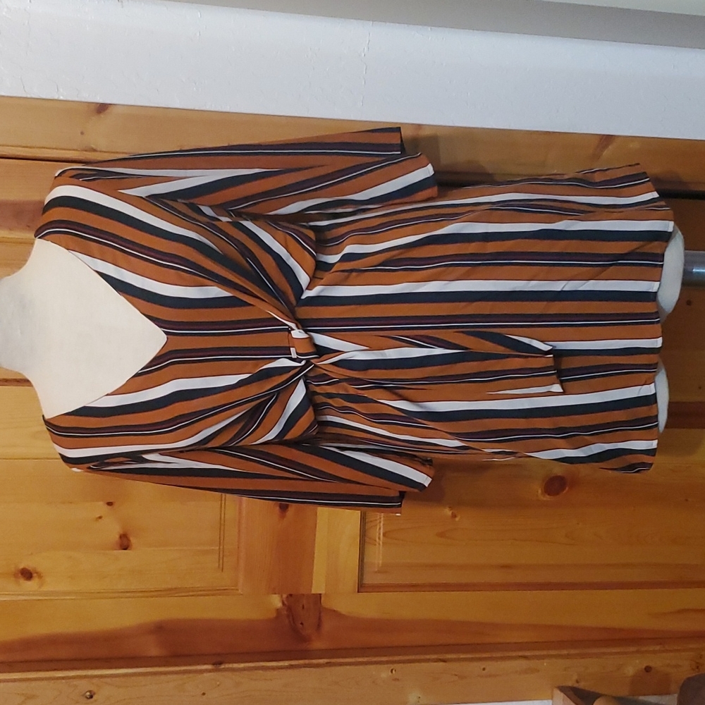 Long sleeve, striped, mid length V-neck dress from Forever 21. (Size small)